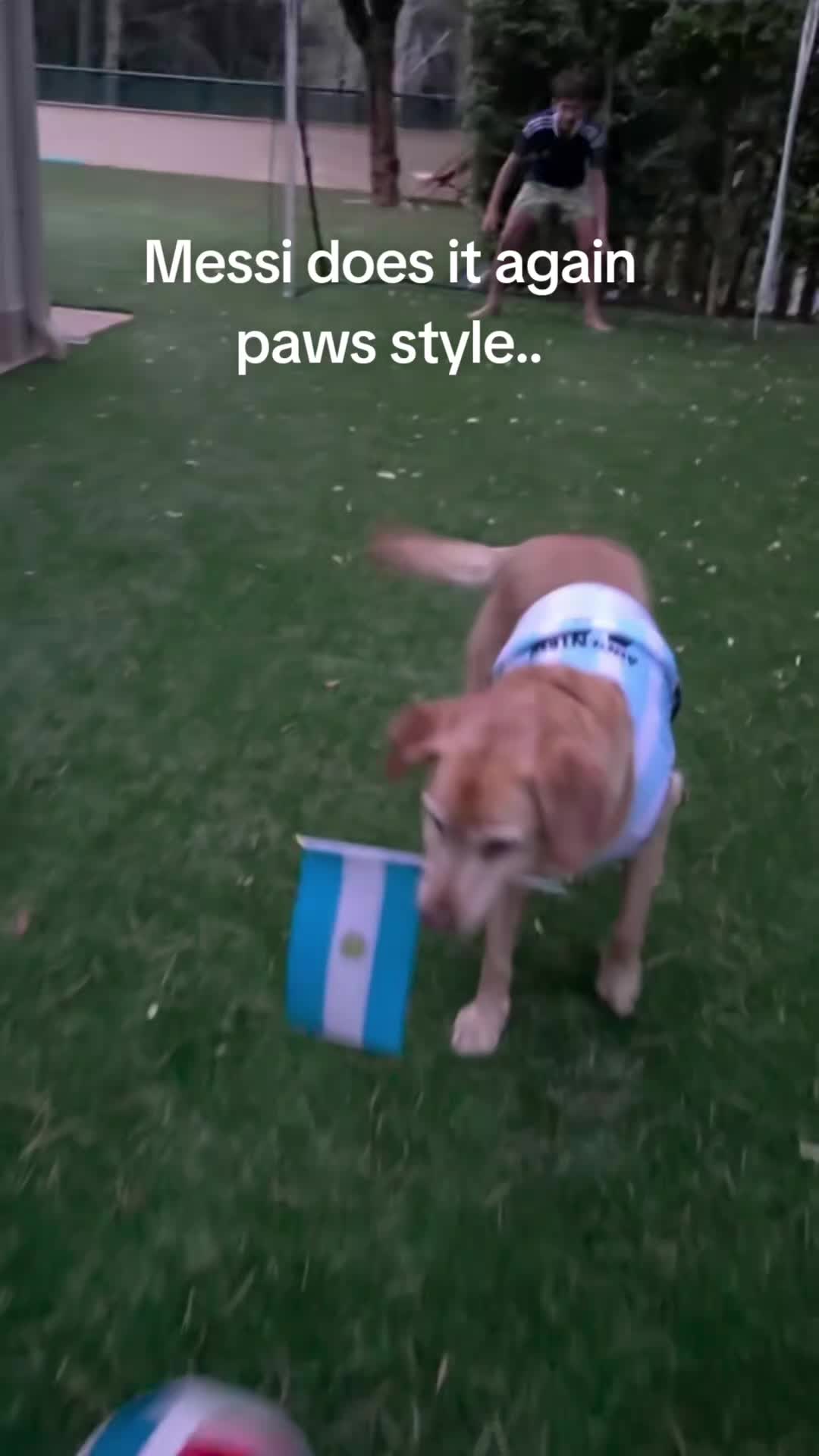 @MessiPaws