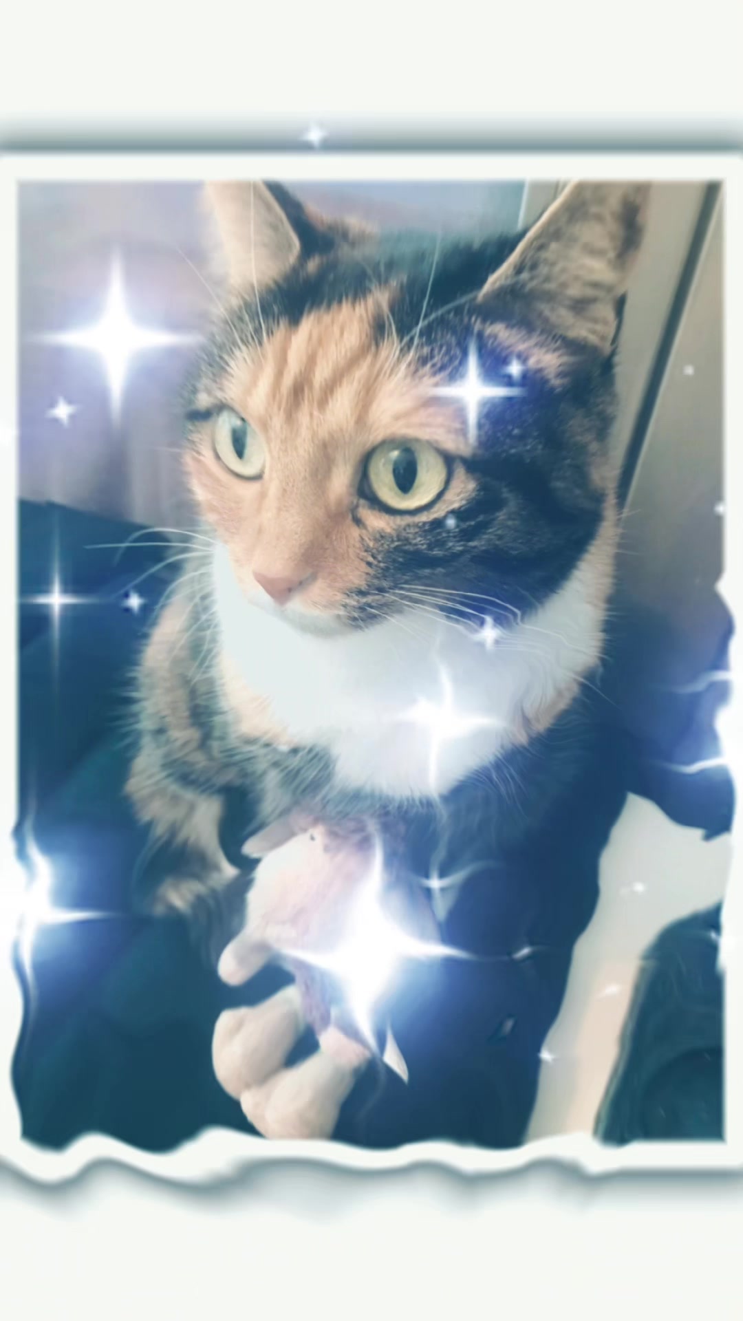 @✨Sarah✨