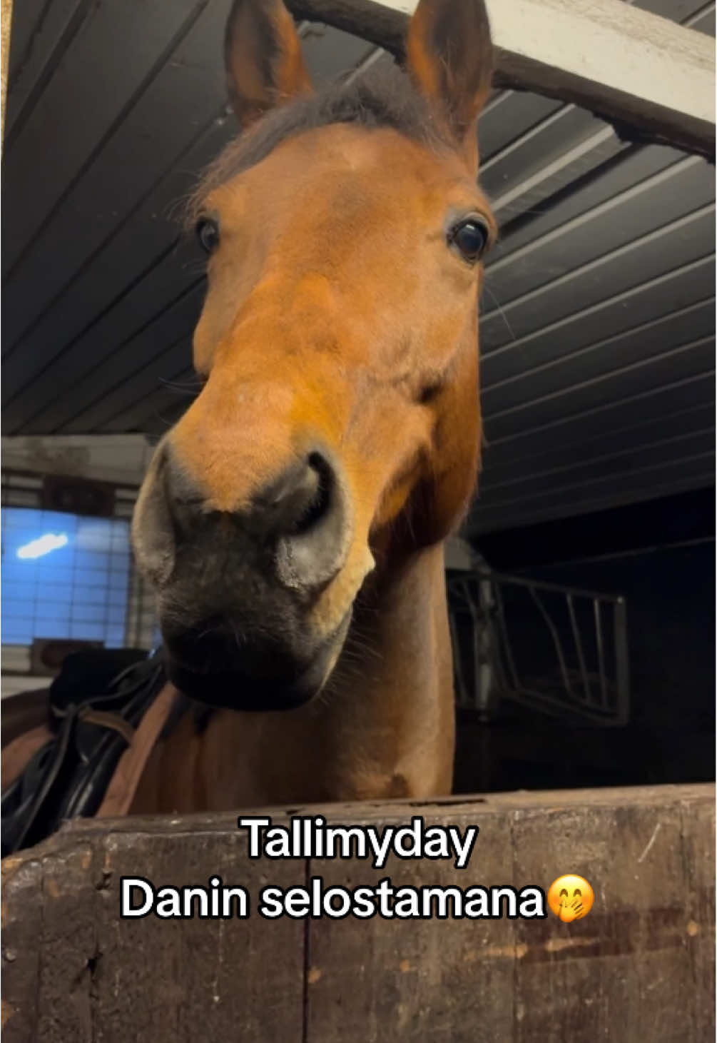 @Minja Hindstr&ouml;m