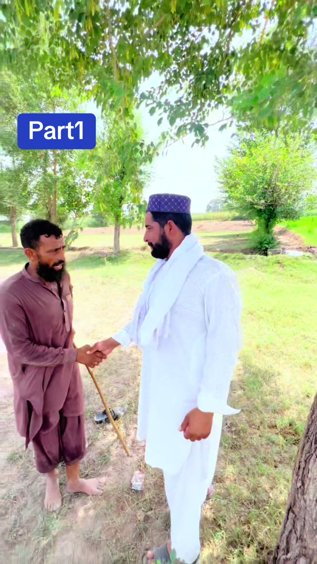 @پینڈو بوائز 378