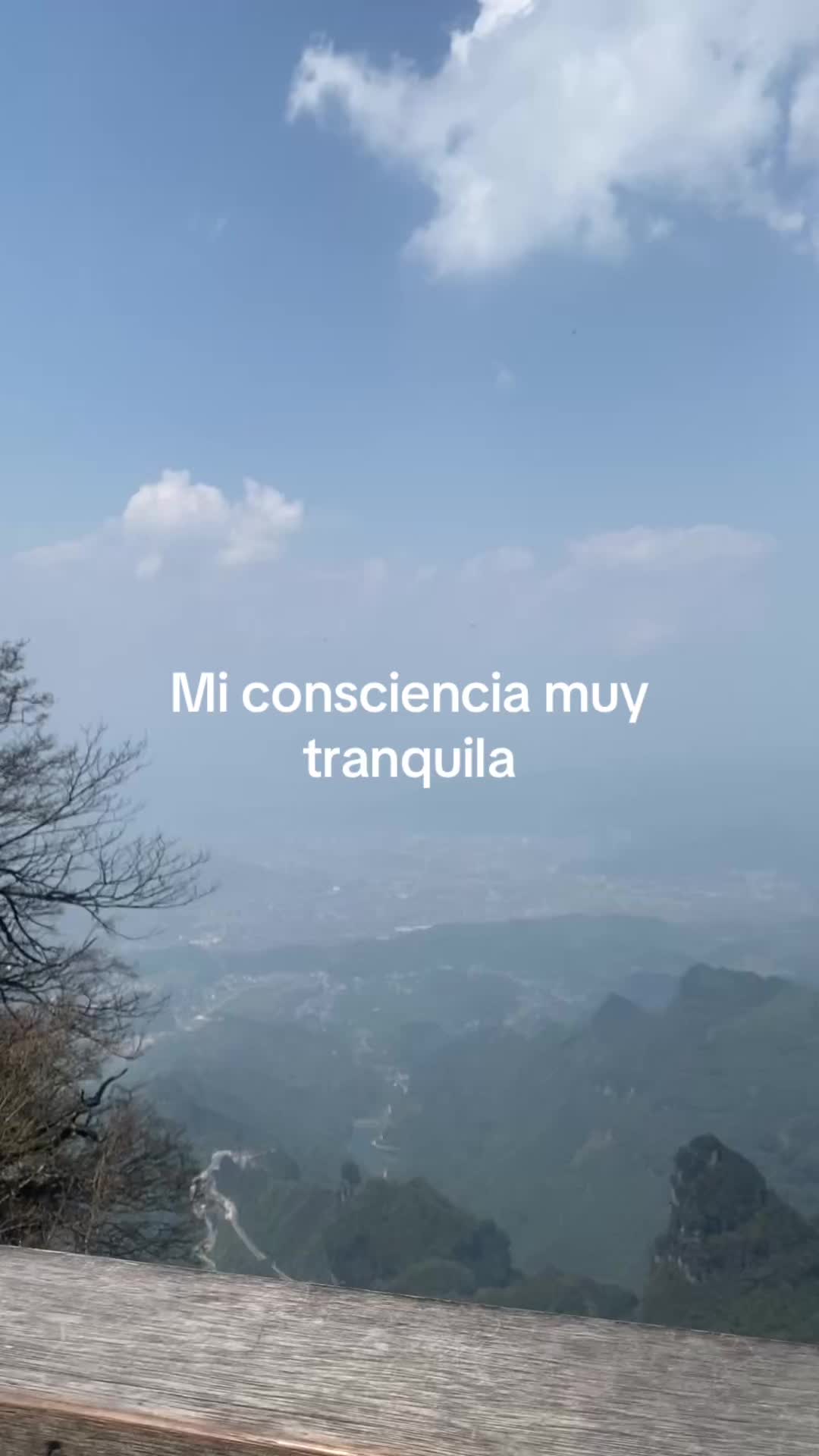 @mariajose29