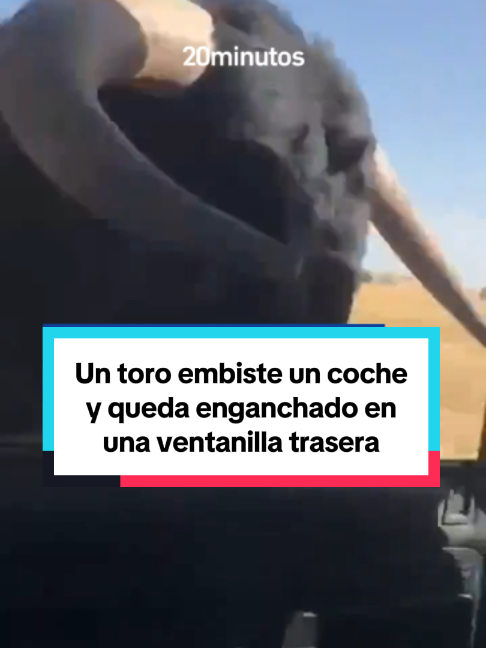 @Peri&oacute;dico 20minutos