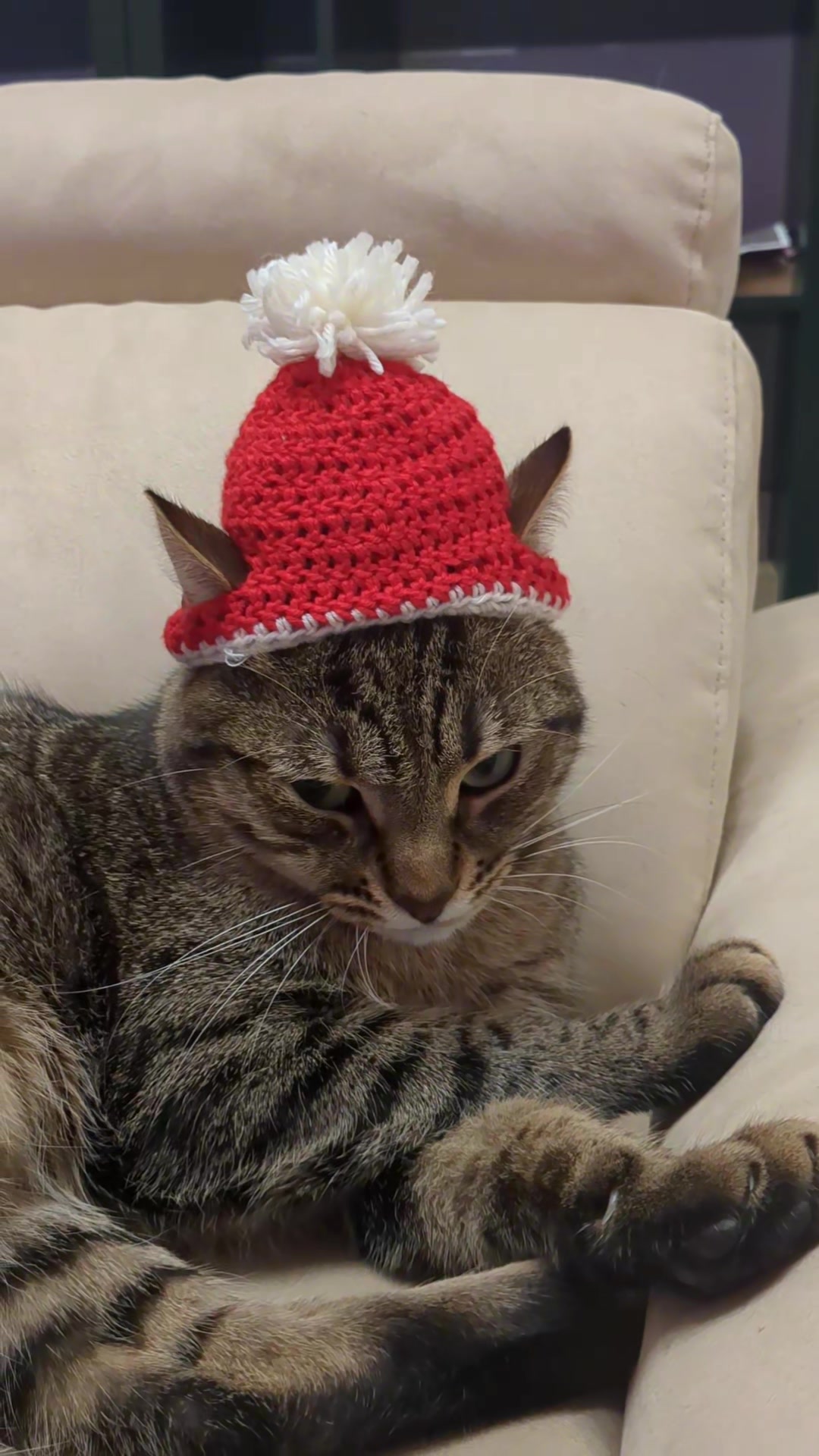 @Lello The Cat