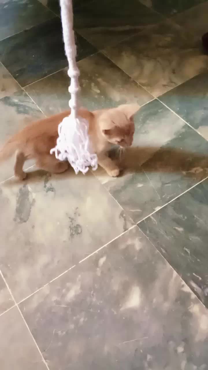 @cutecatlover8172