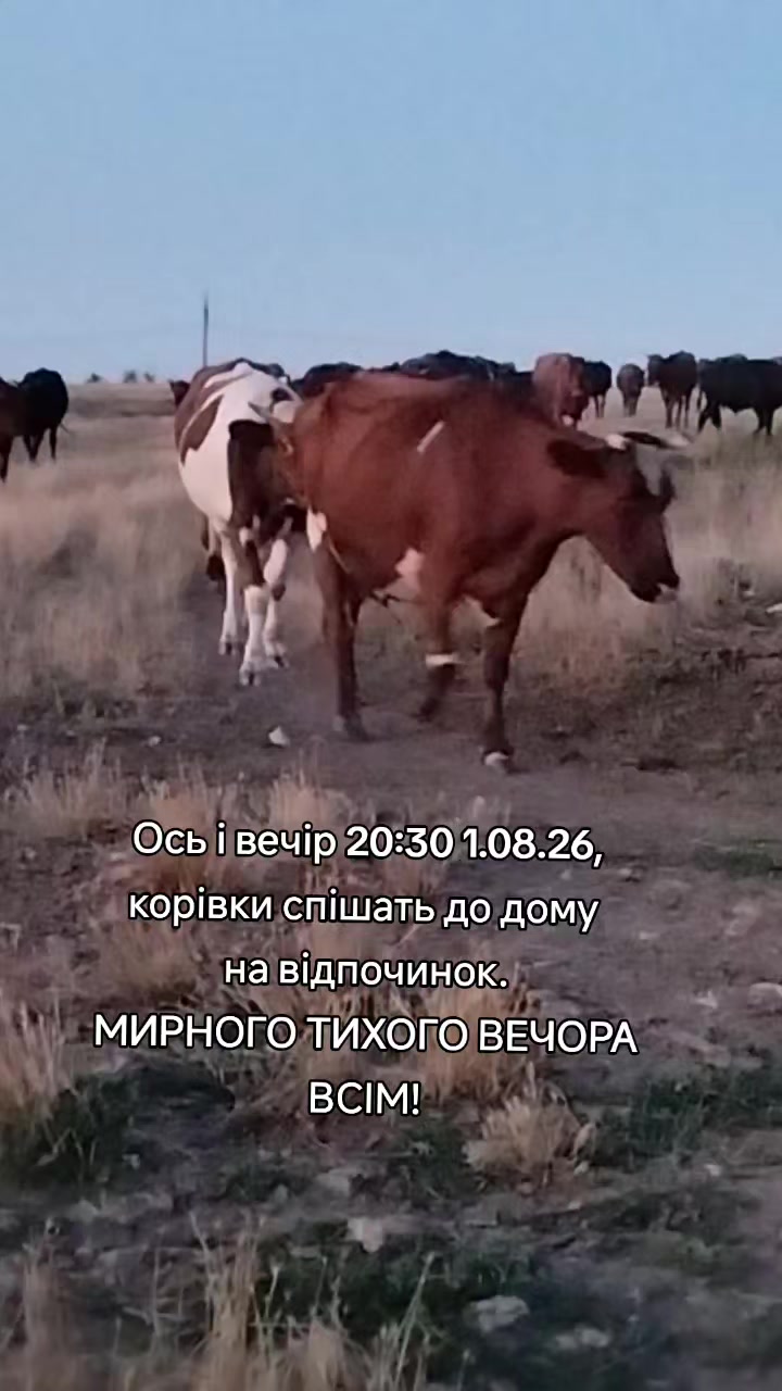 @Марченко Наталья