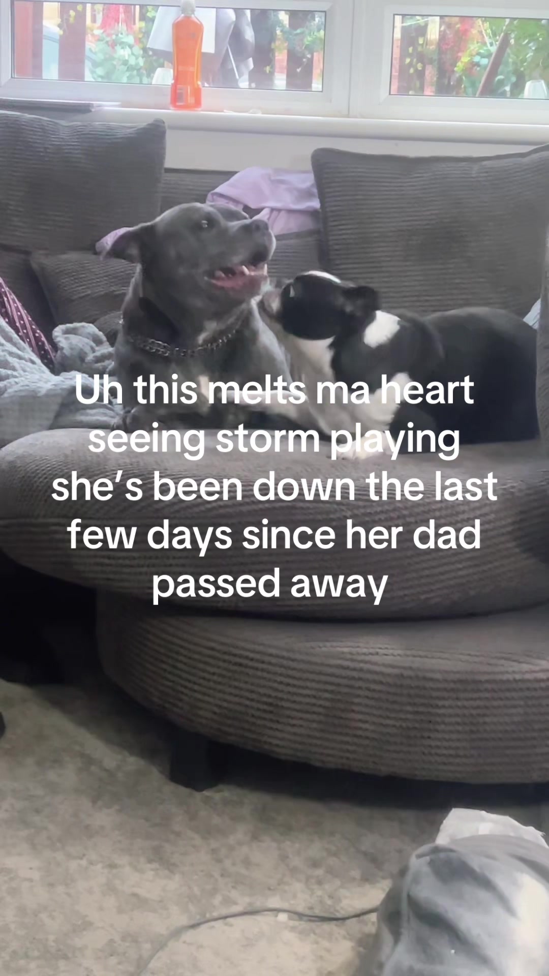 @xxx Lisa  proud mother of 7 xx