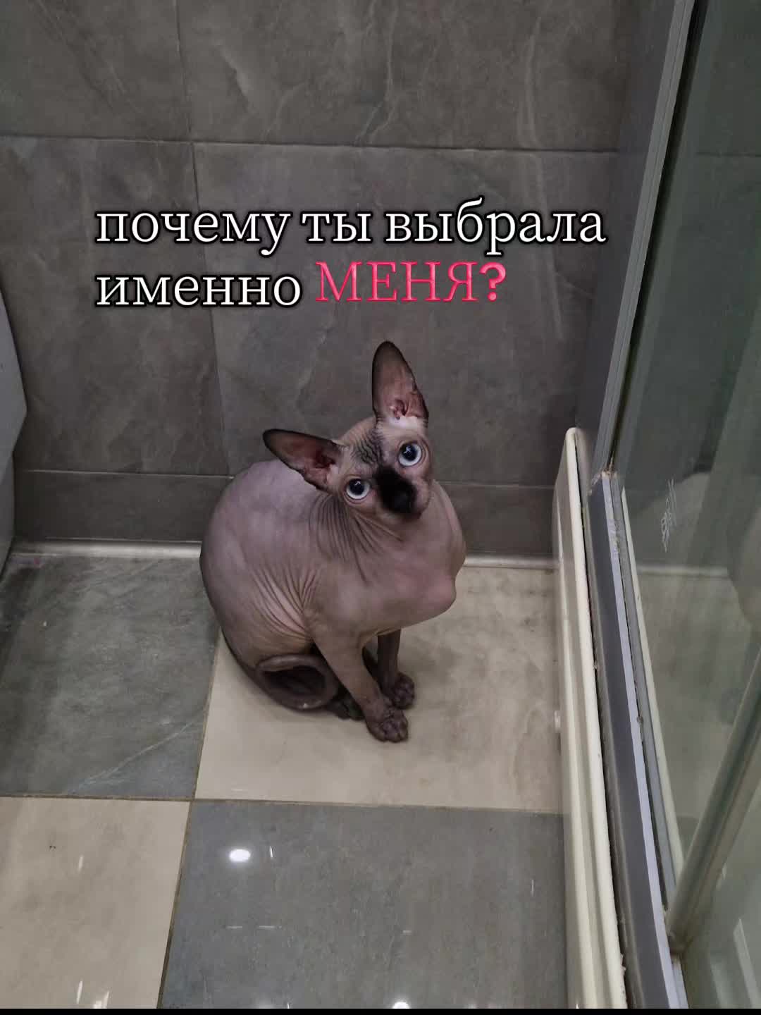 @лизка