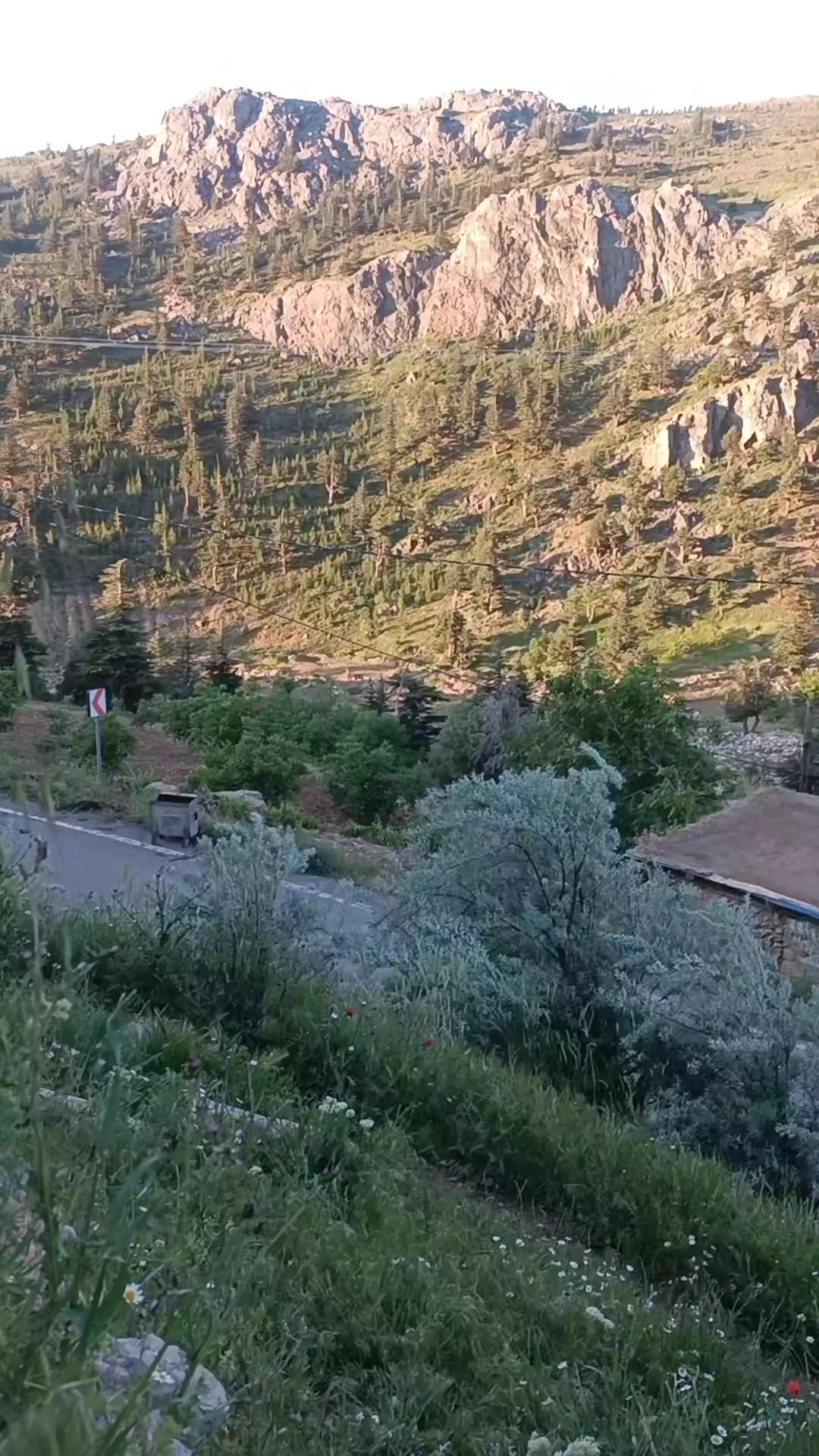@DAĞCI.46