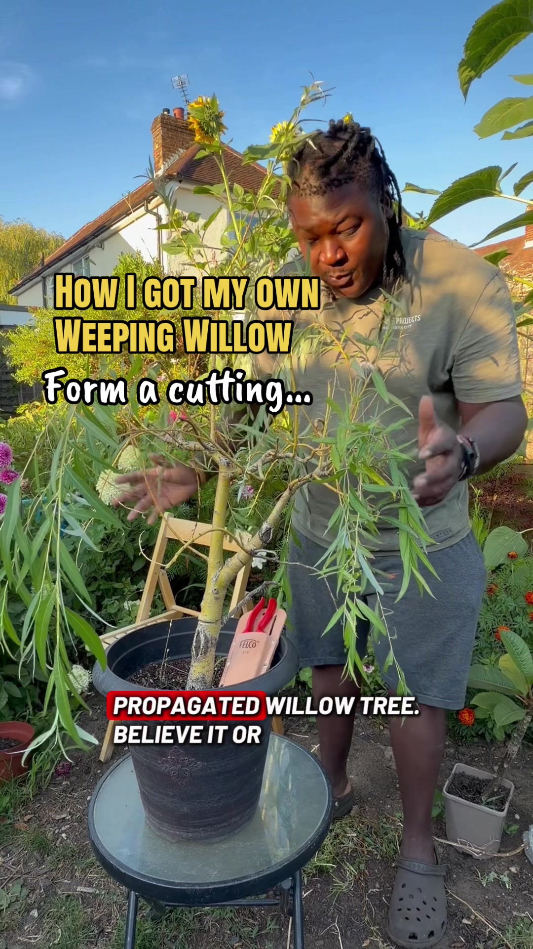 @Izwe