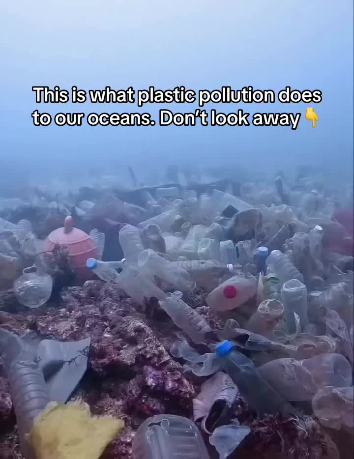 @Greenpeace UK