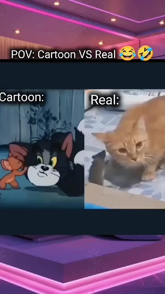 @ruberaciune