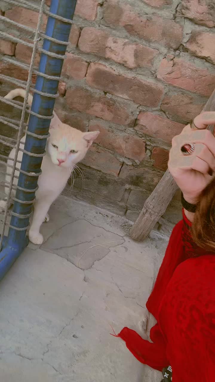 @Sargodha ki jaan🦾