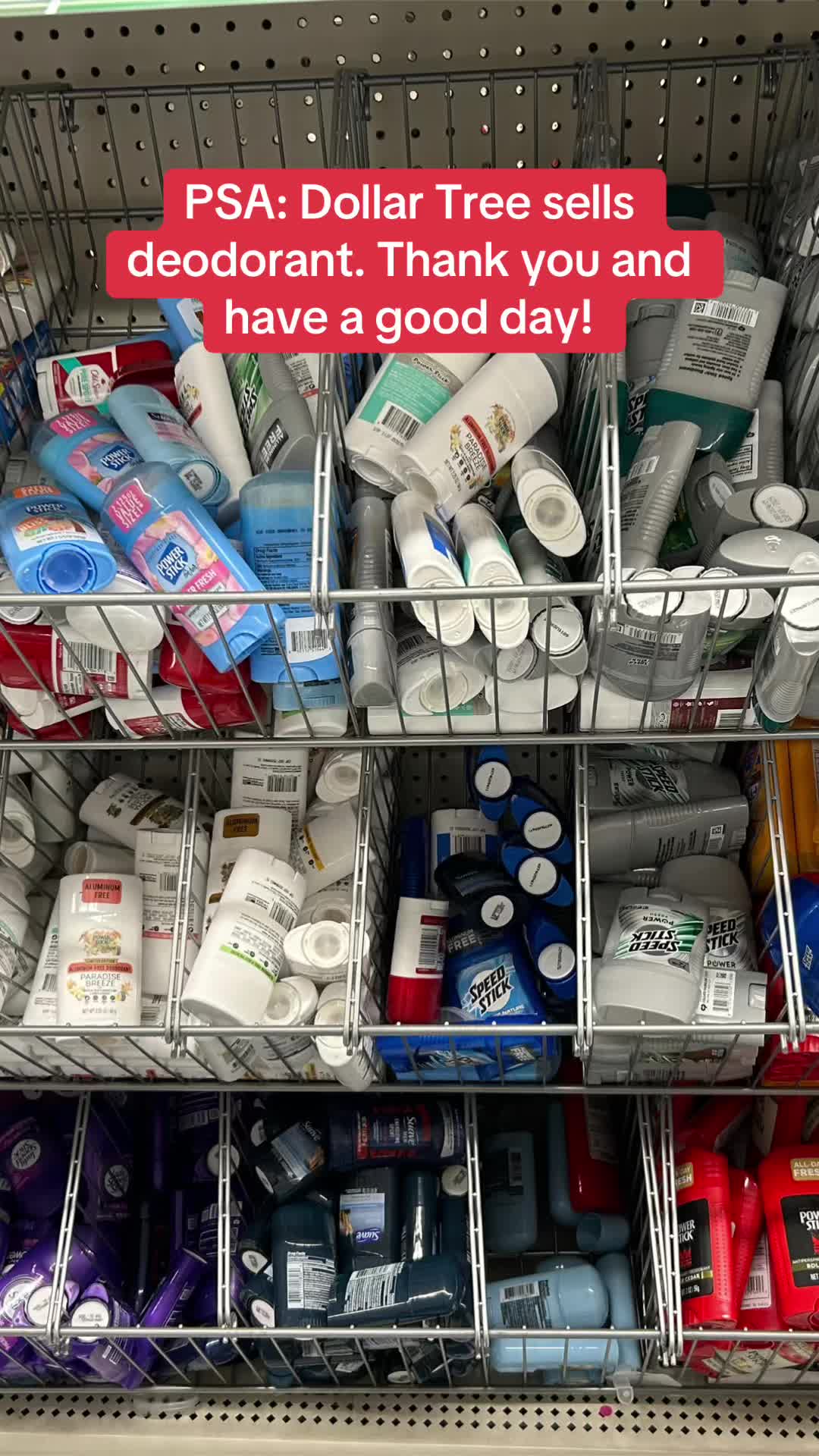 @Felicia 🦢