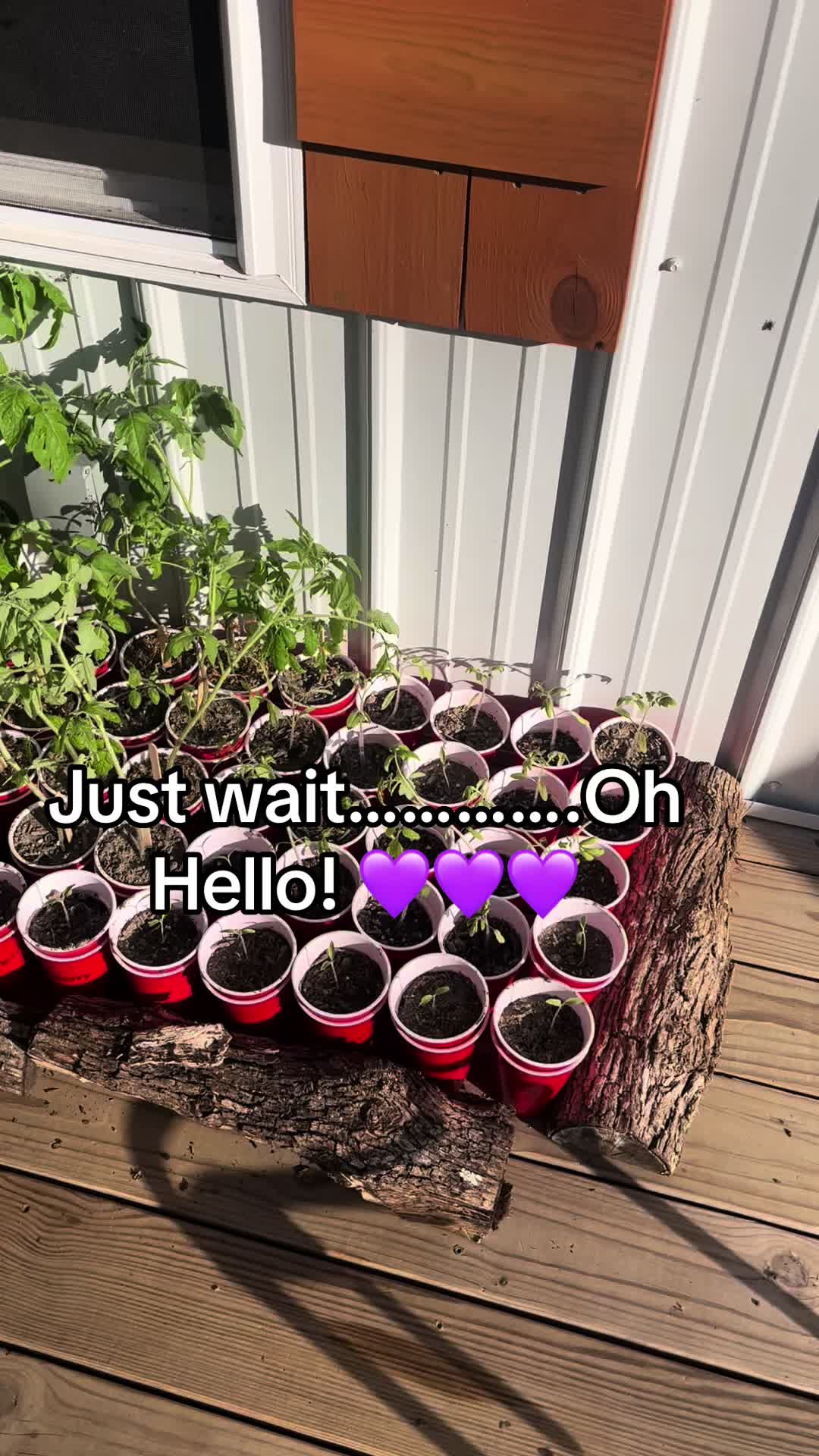 @probablyoverwatering