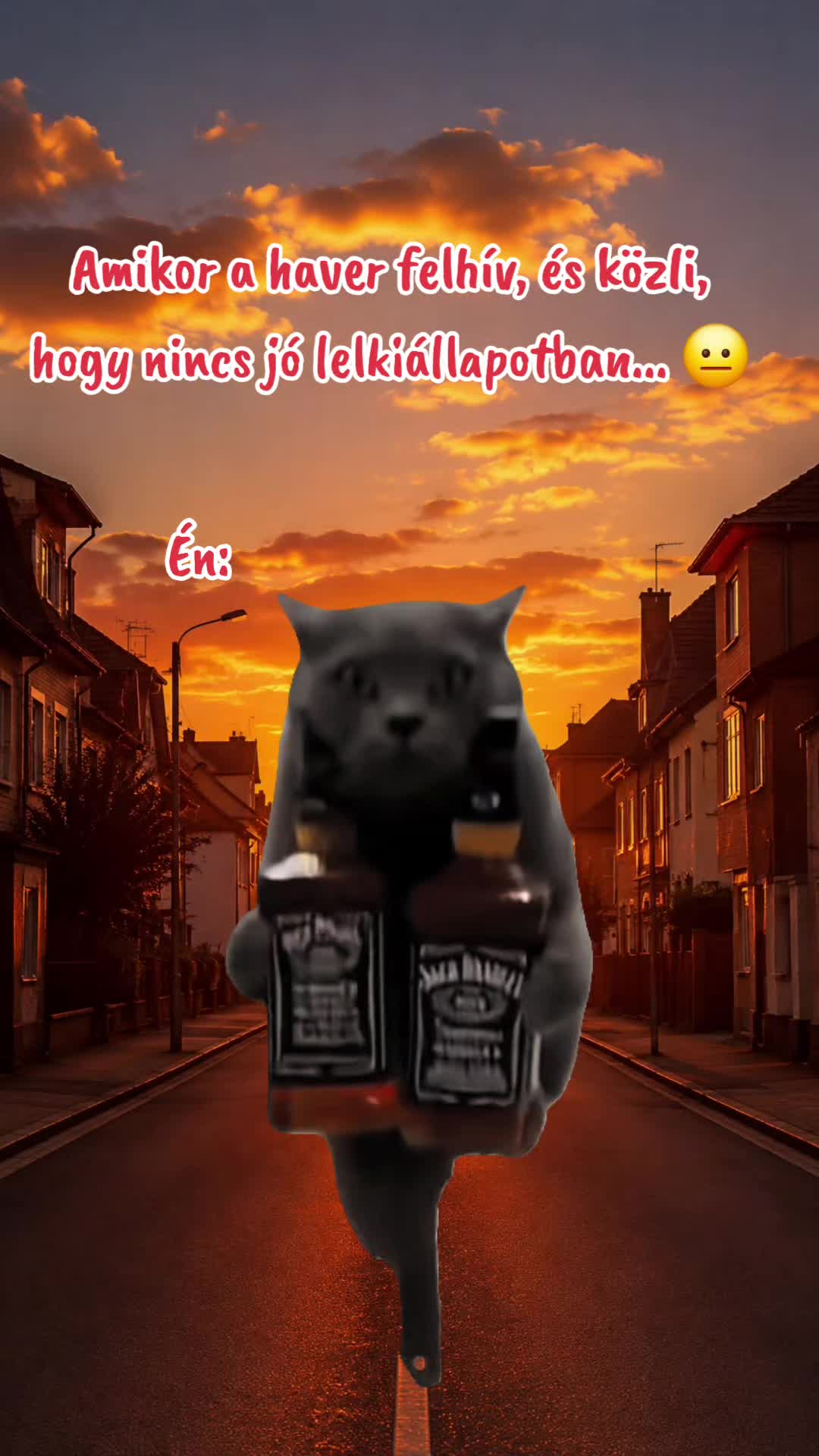 @Szabi 🇩🇪