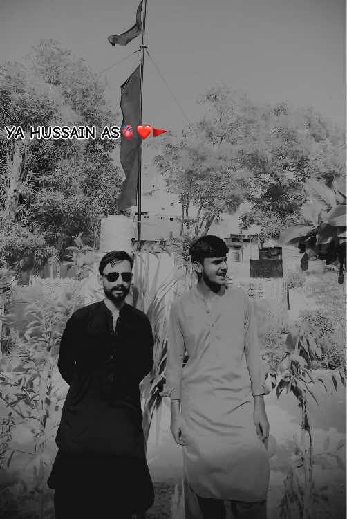 @Real-Saleem-Chandio