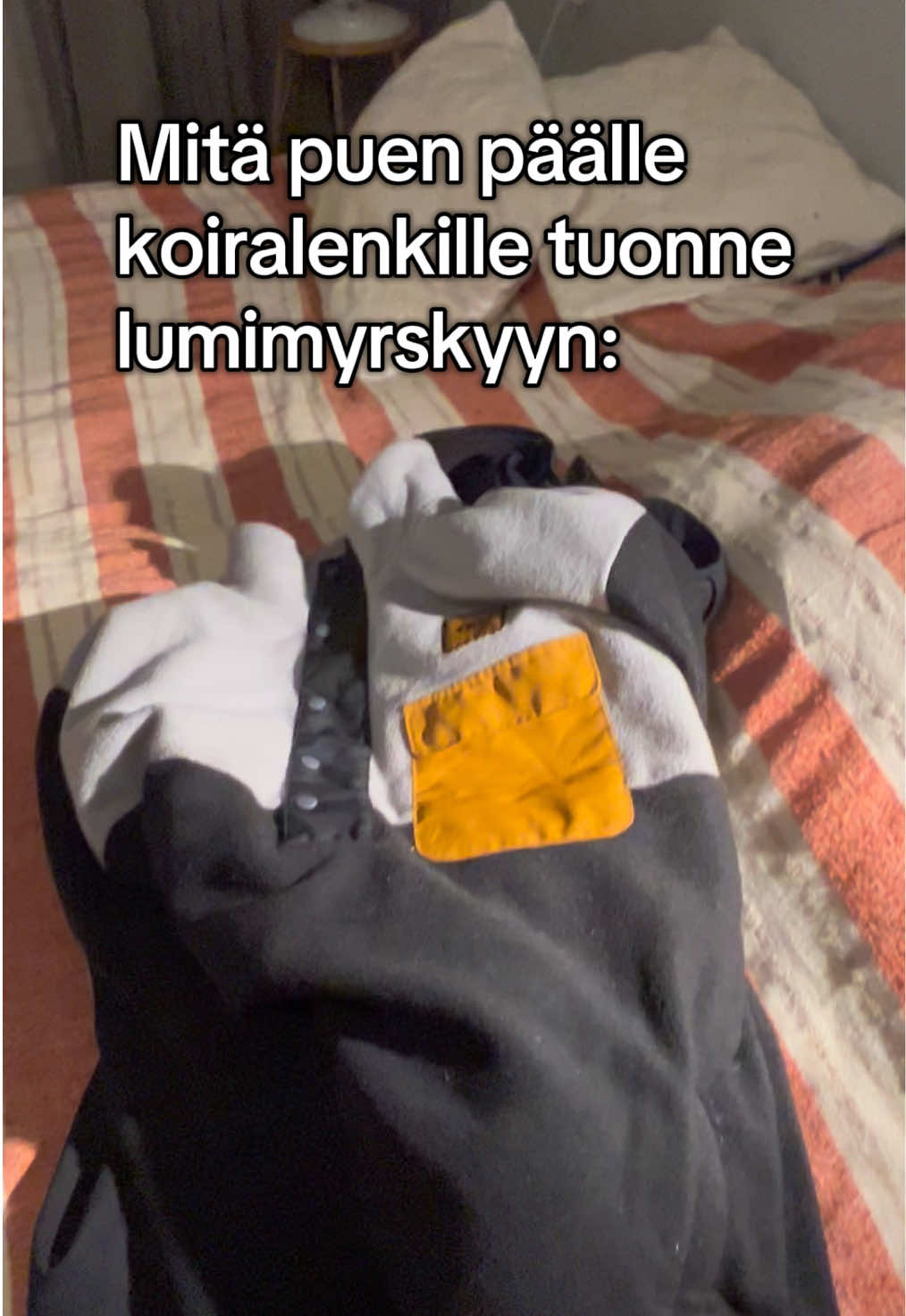 @Joonas K&auml;&auml;ri&auml;inen
