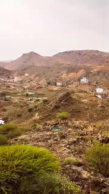 @حمدي الشعيبي 💛