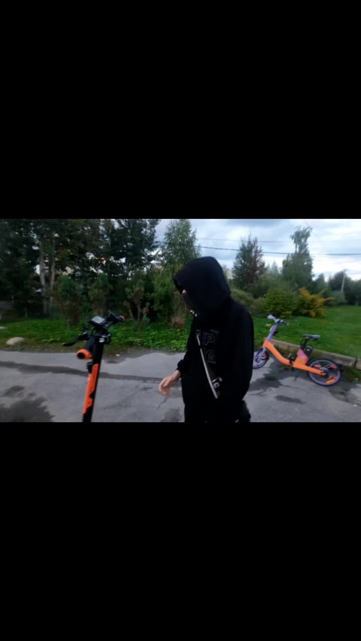 @RADEX | ЛИС #GOST