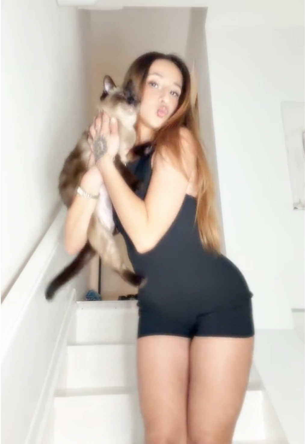 @mimi