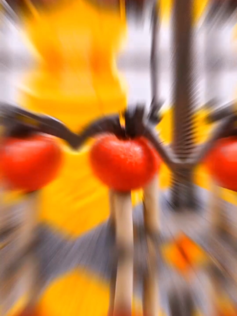 @Ern&auml;hrungsspezialist