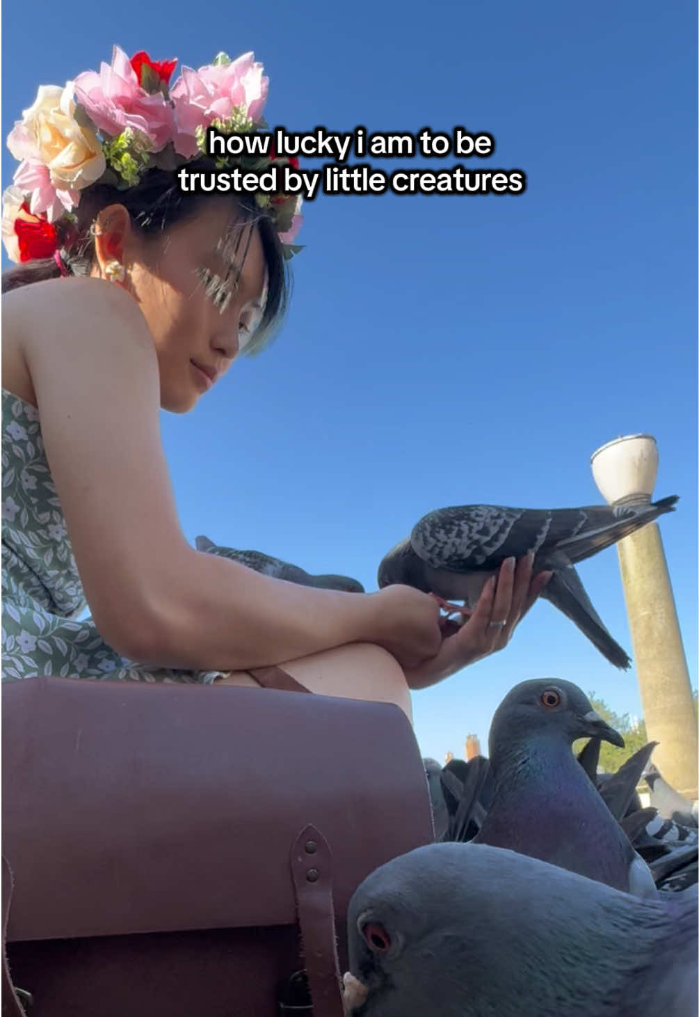 @summer ✶ little winged friends