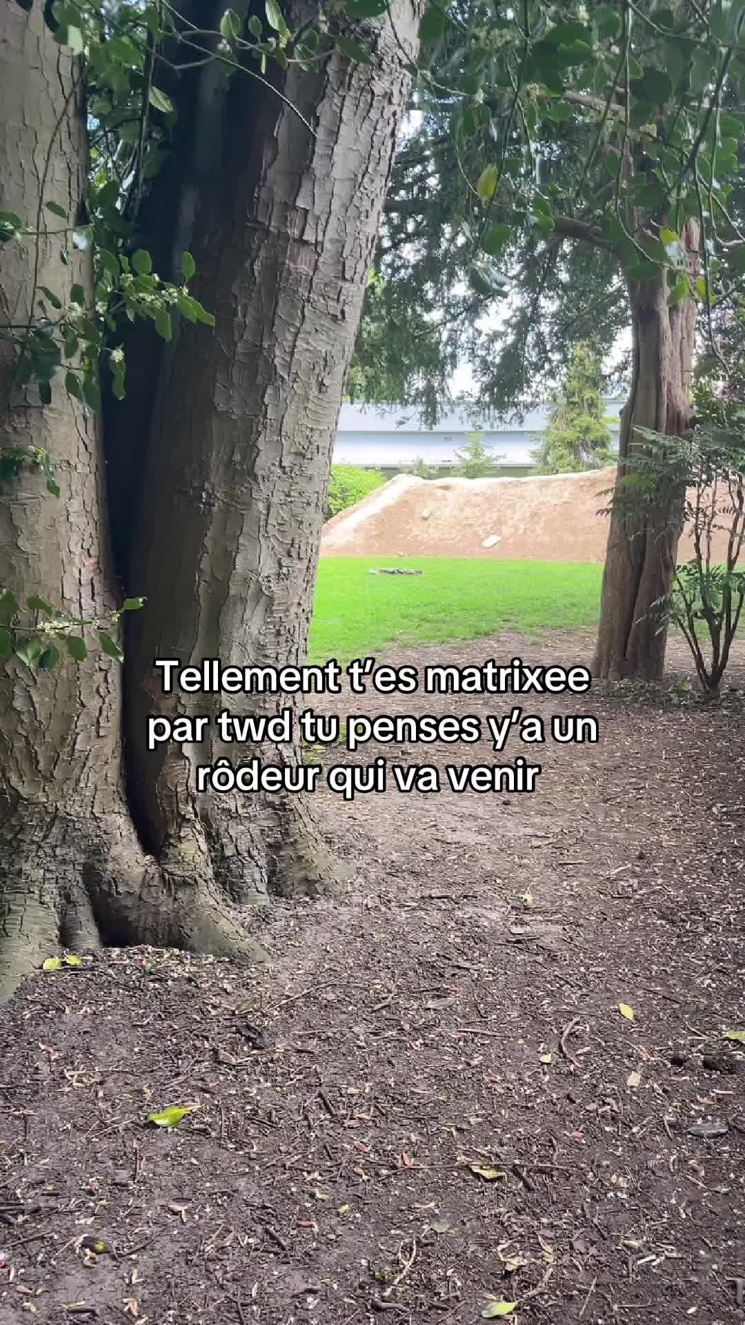 @ᥫ᭡