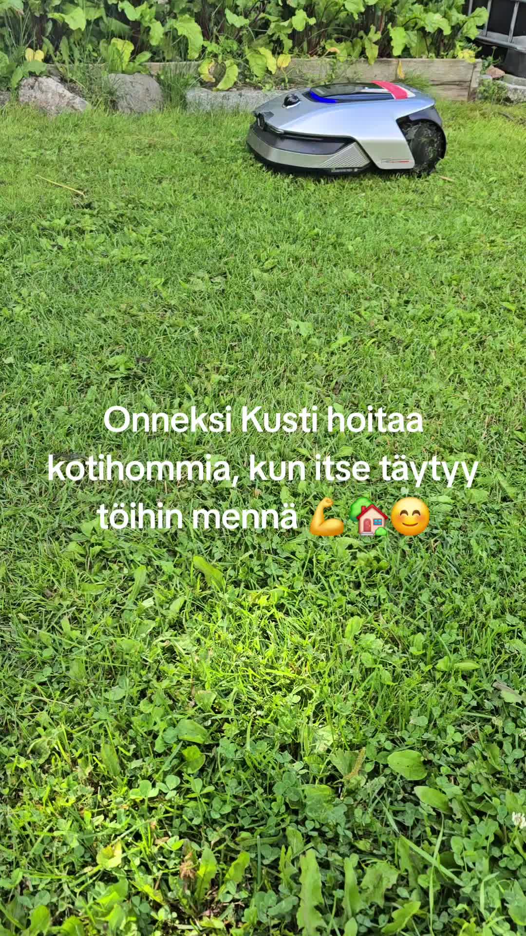 @Seurakuntamestari