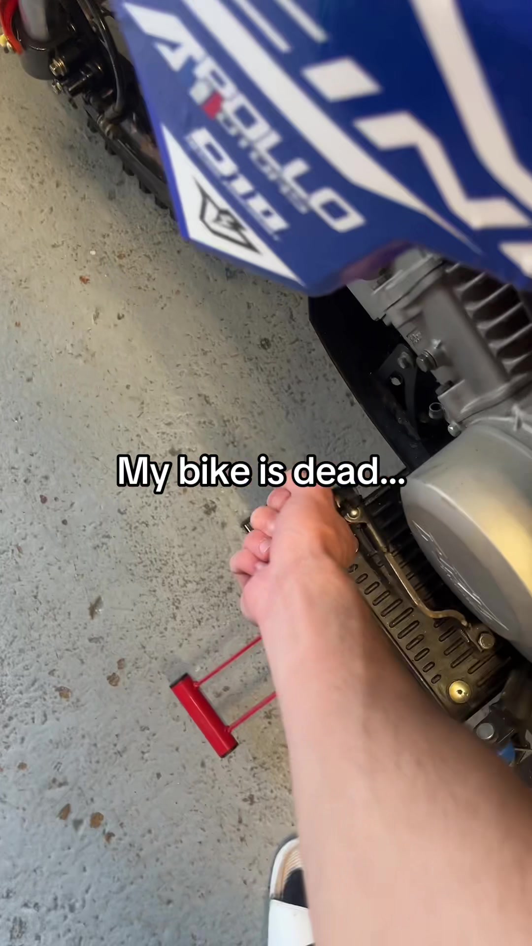 @dirt_Vibes44