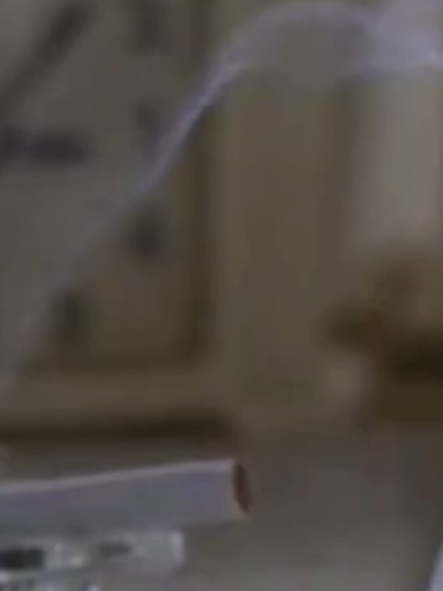 @Questionably_sized_Feline