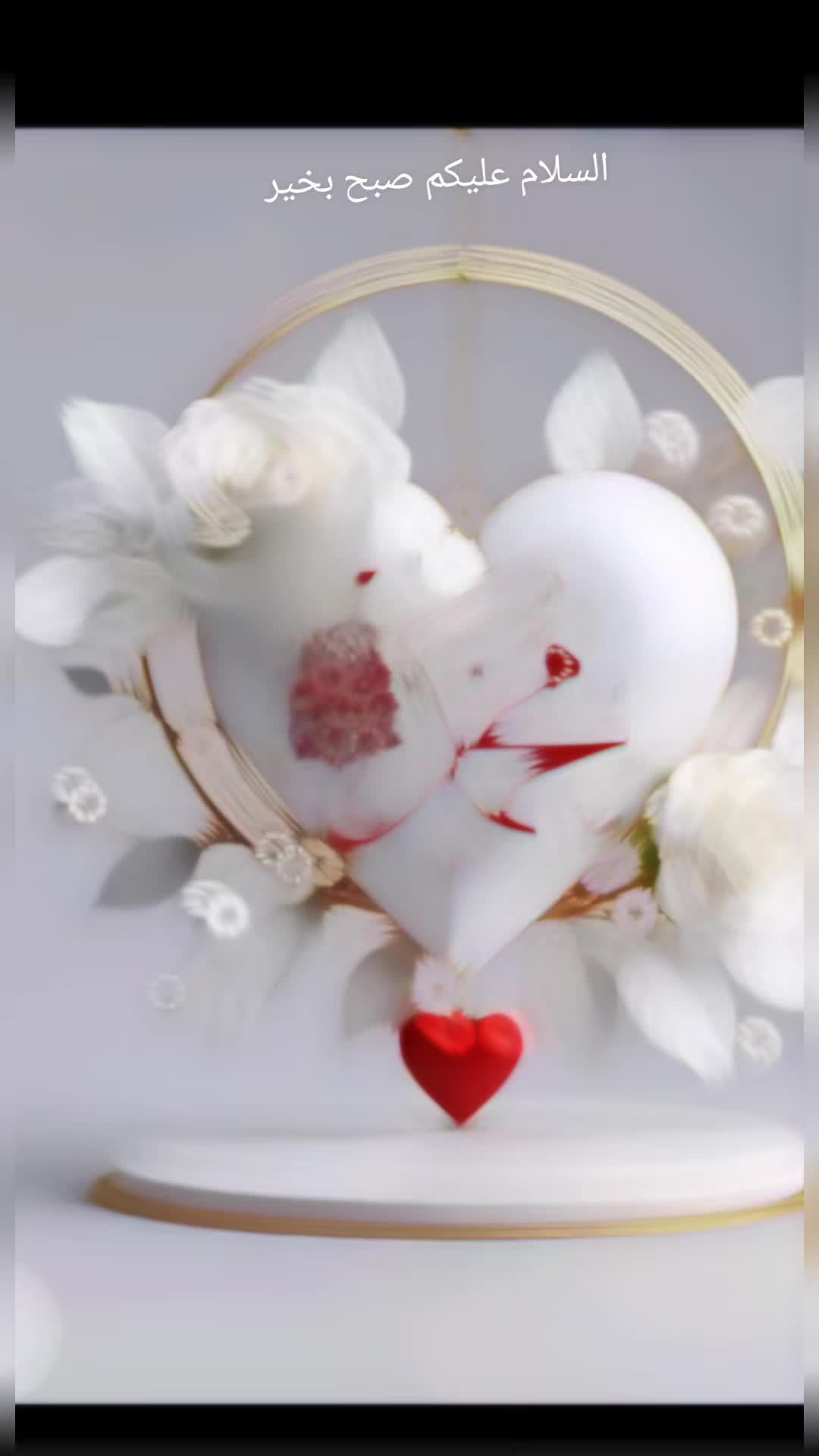 @amaan1949