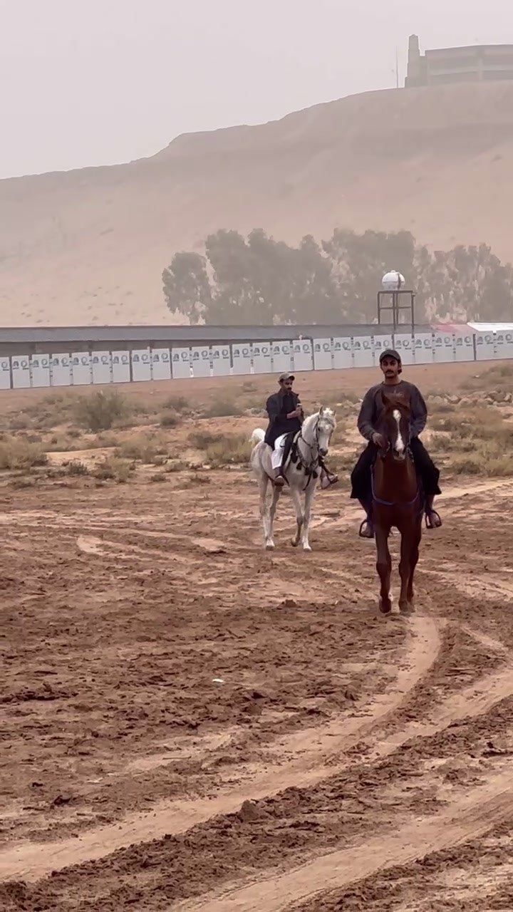 @عبدالله حمد التميمي jockey🏇🏿