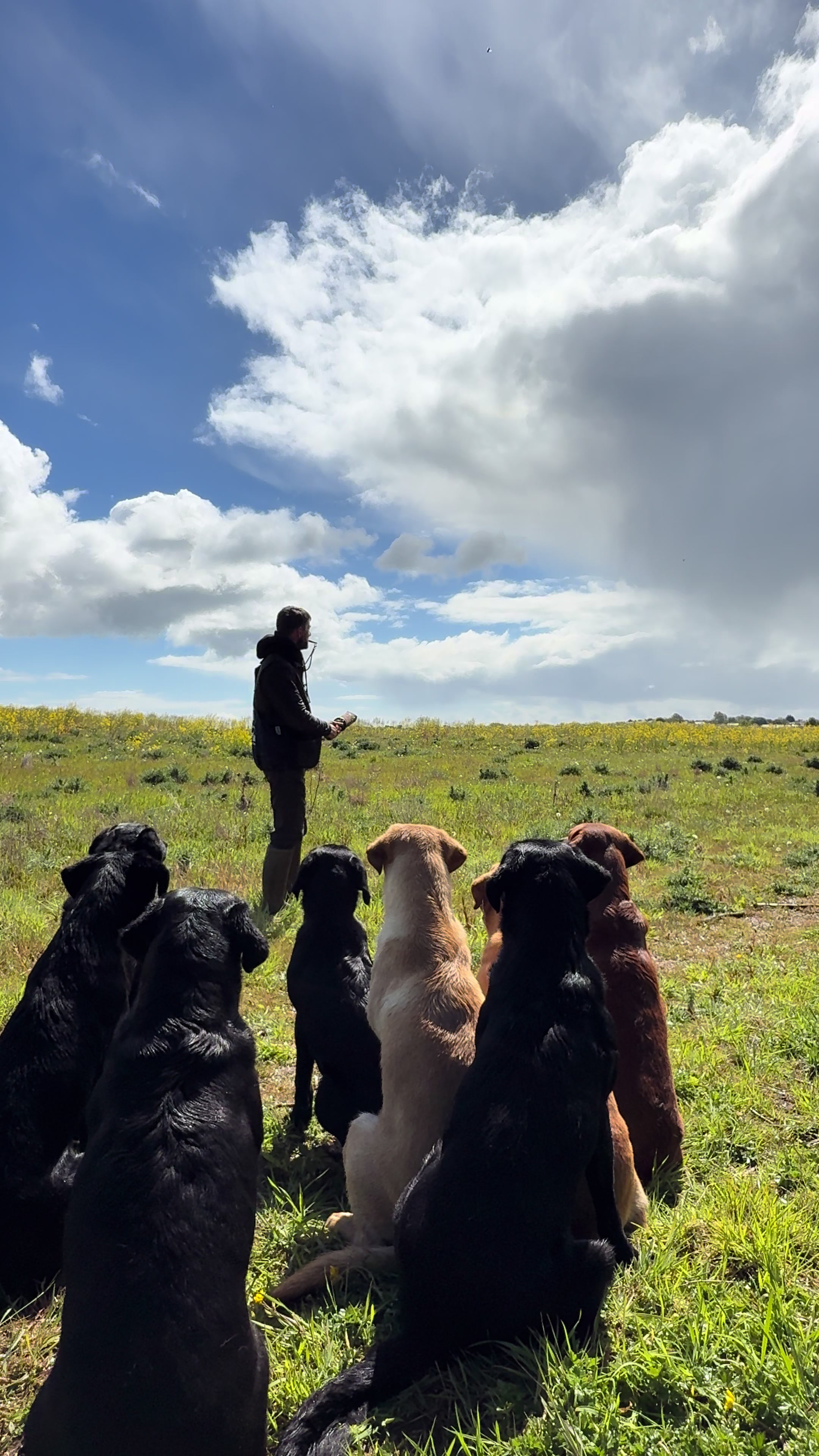 @slingleygundogs