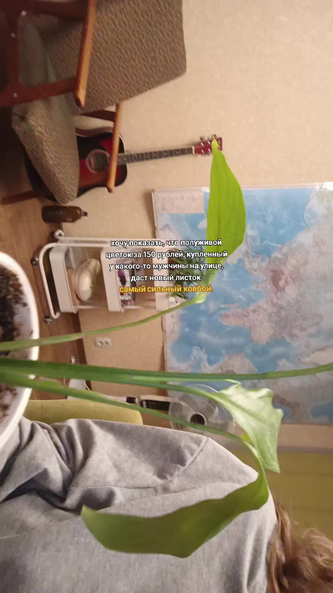 @лён