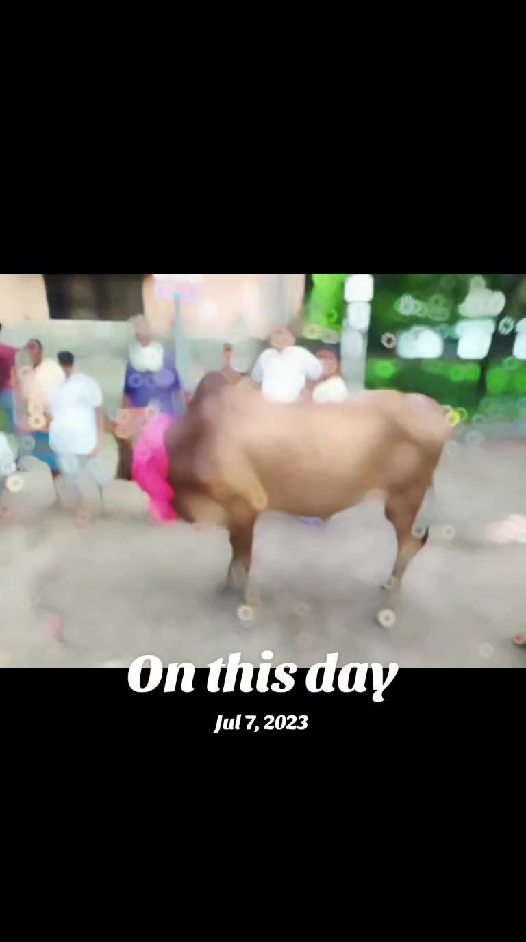 @গরুর ঘর🐄