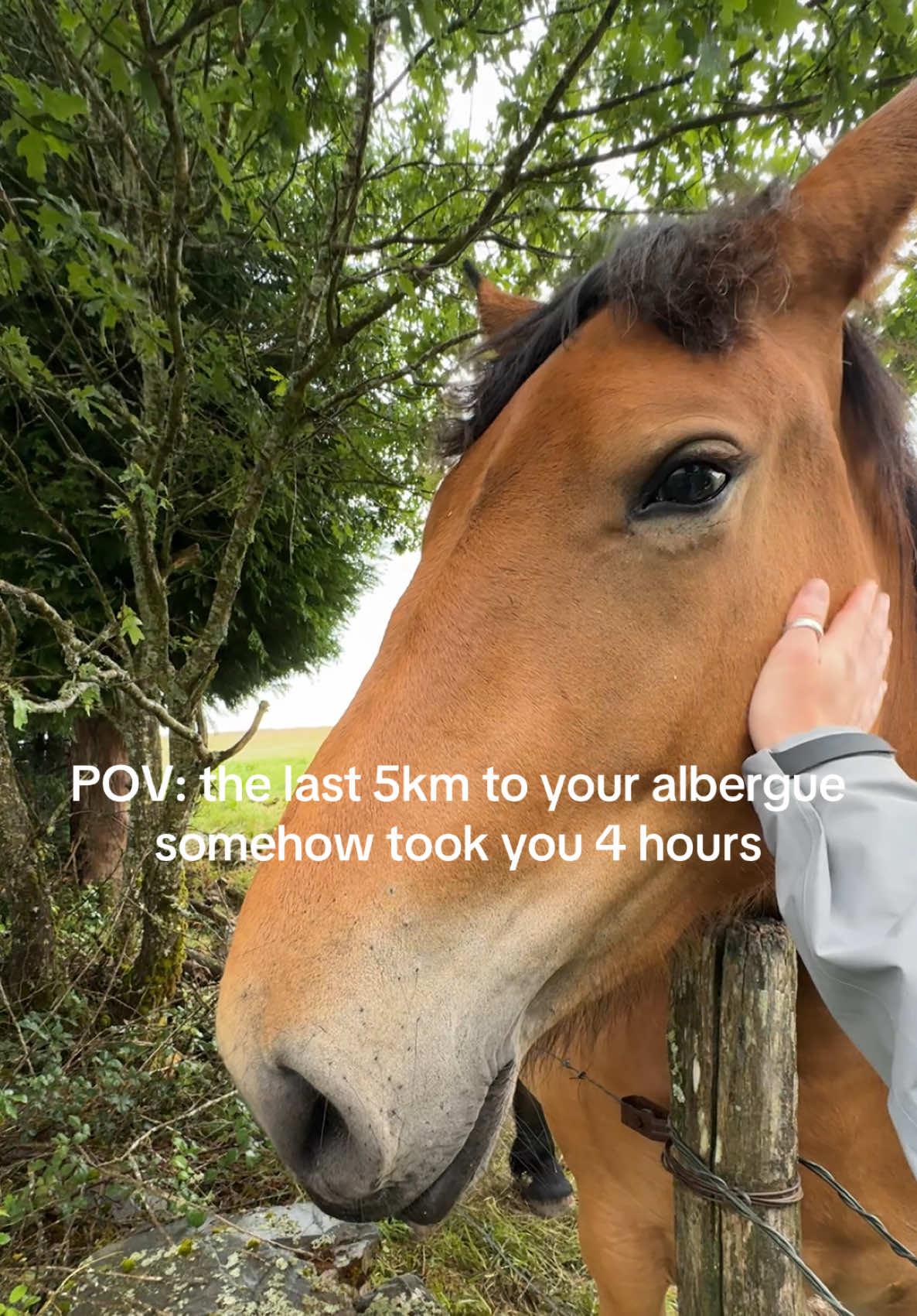 @Elliott Pollen