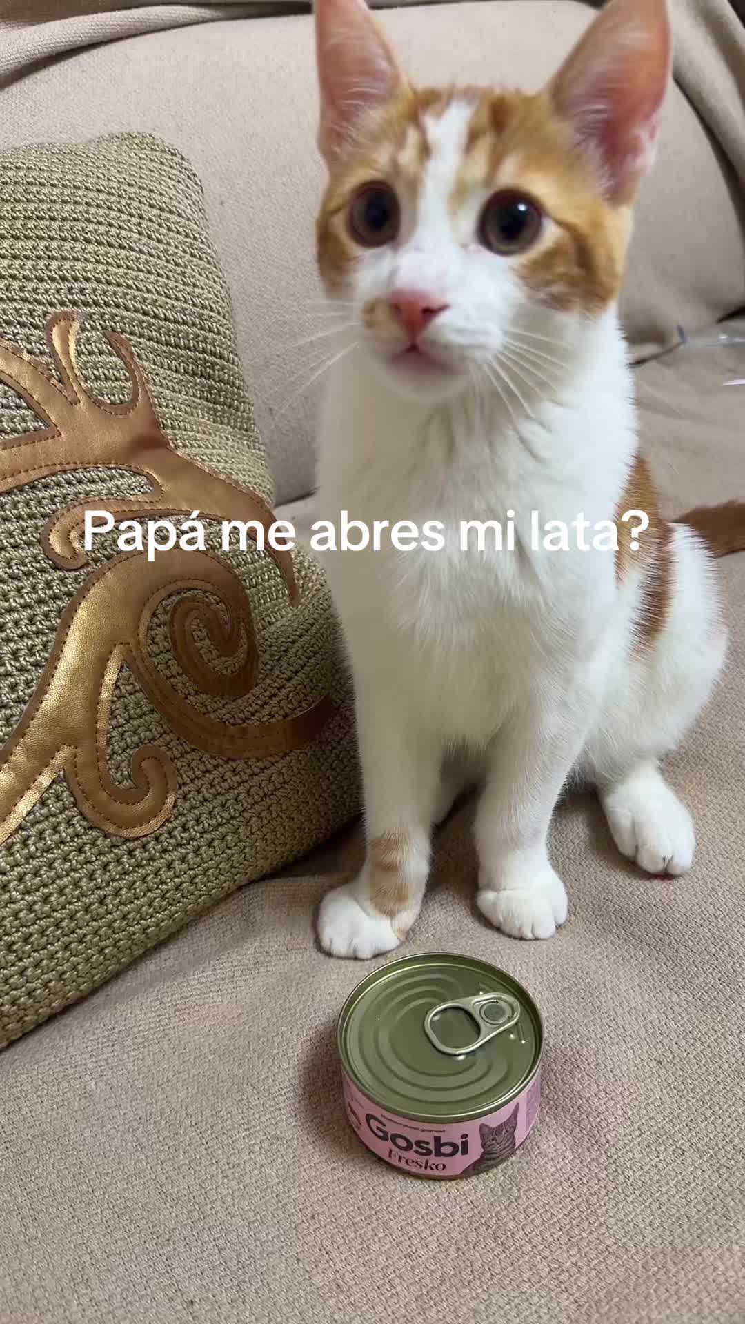 @eden_montoyaa