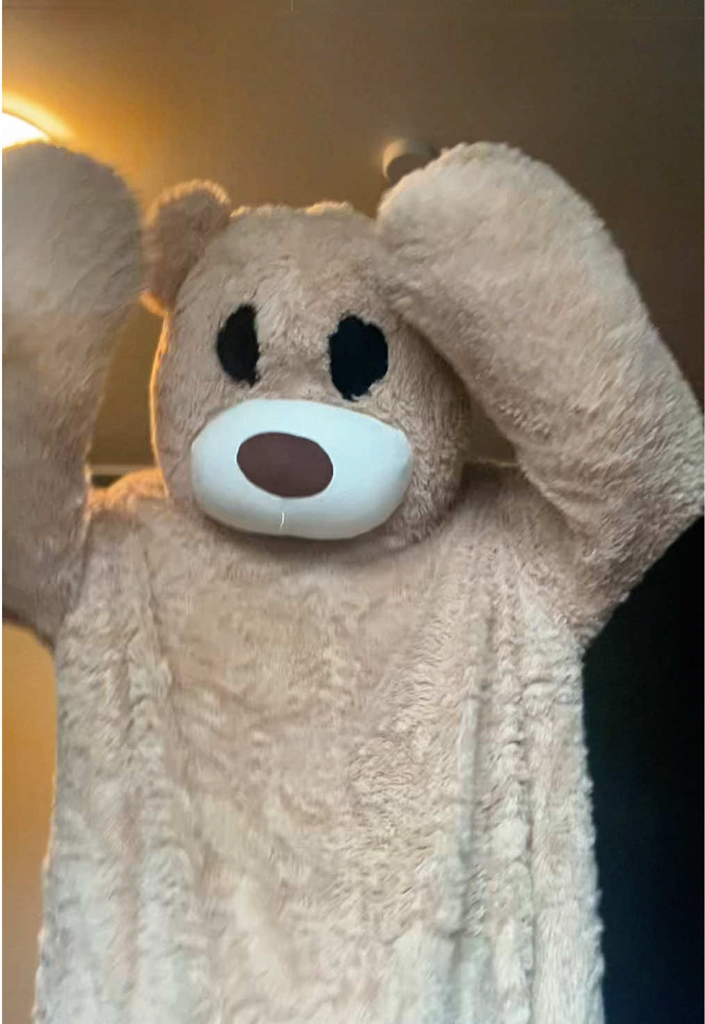 @teddytok