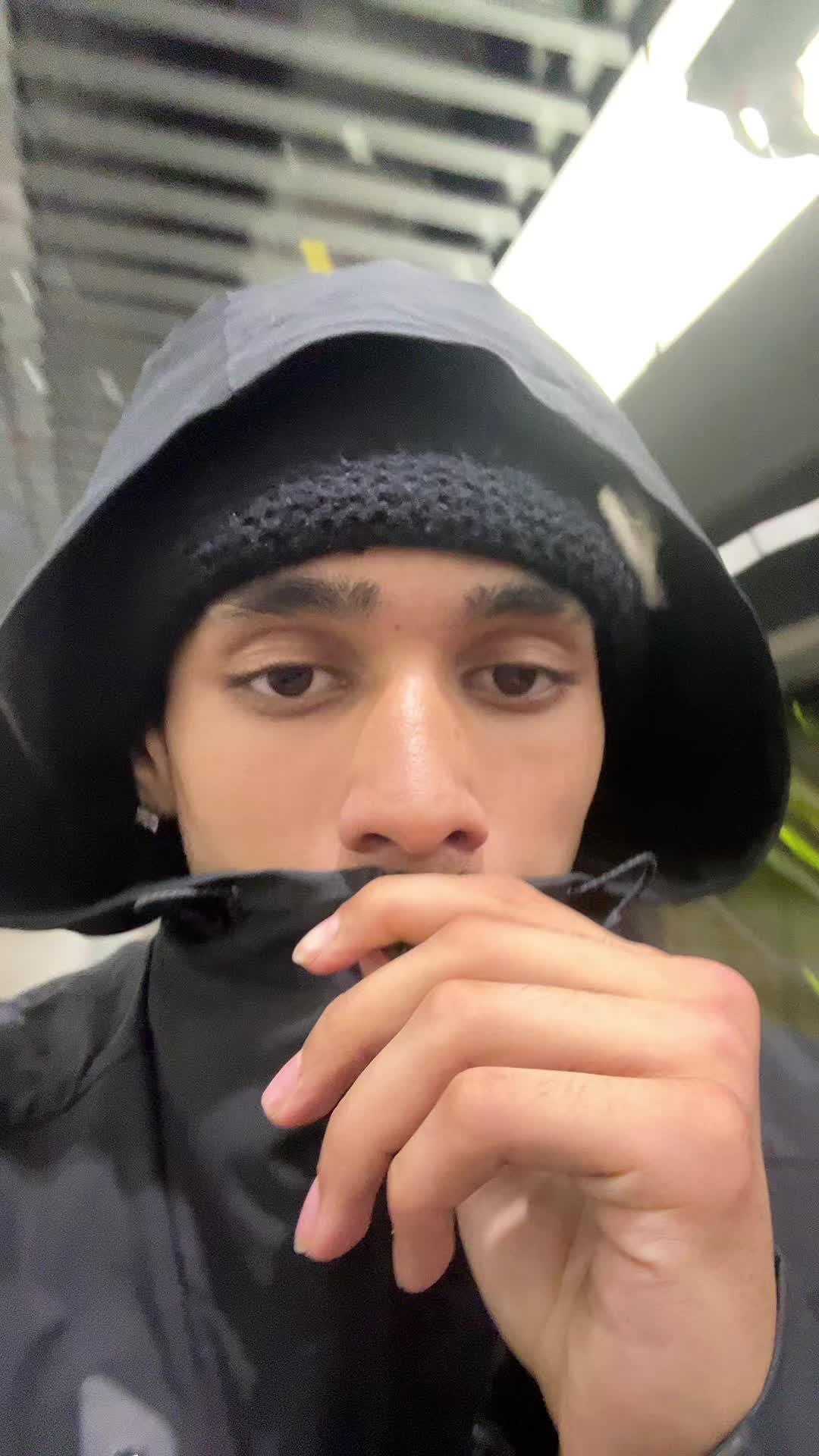 @🦈