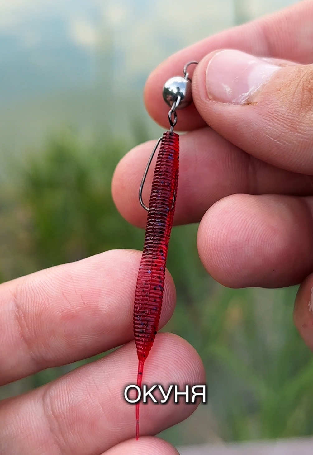 @Максим FastFisher