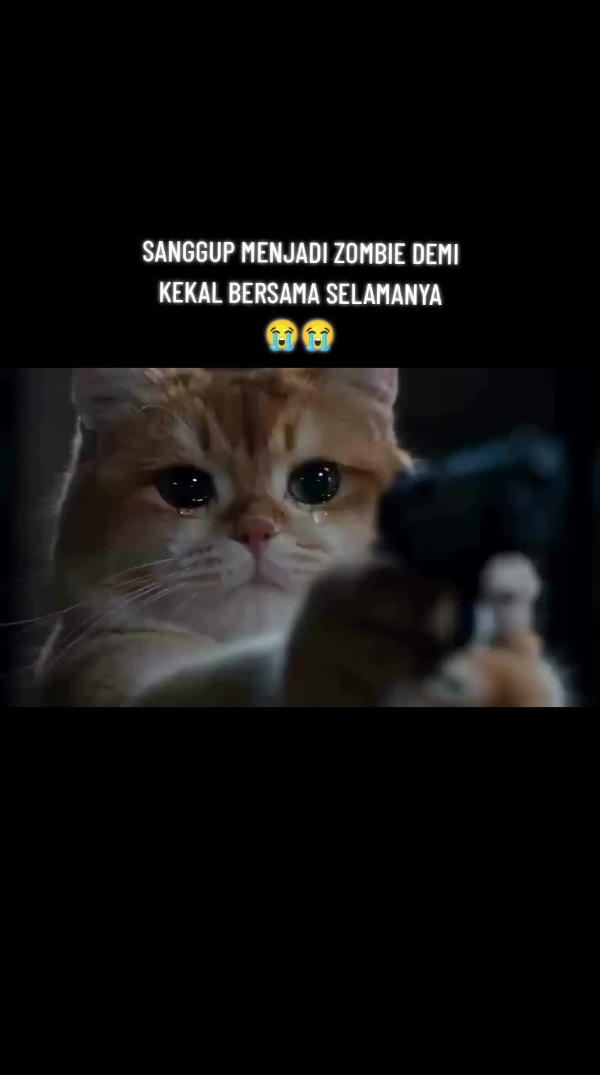 @probadjoker87