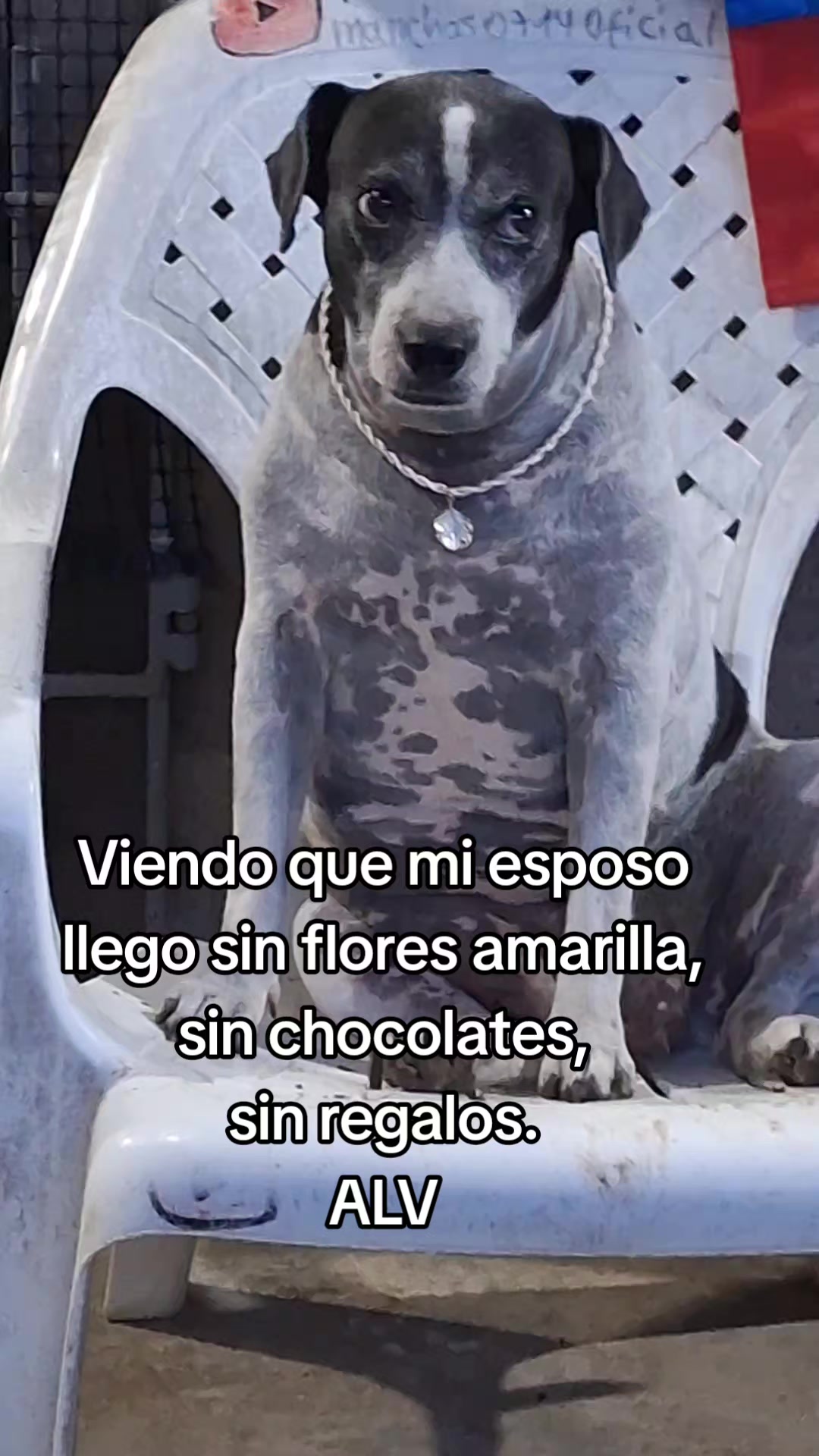 @MANCHAS 0714 OFICIAL