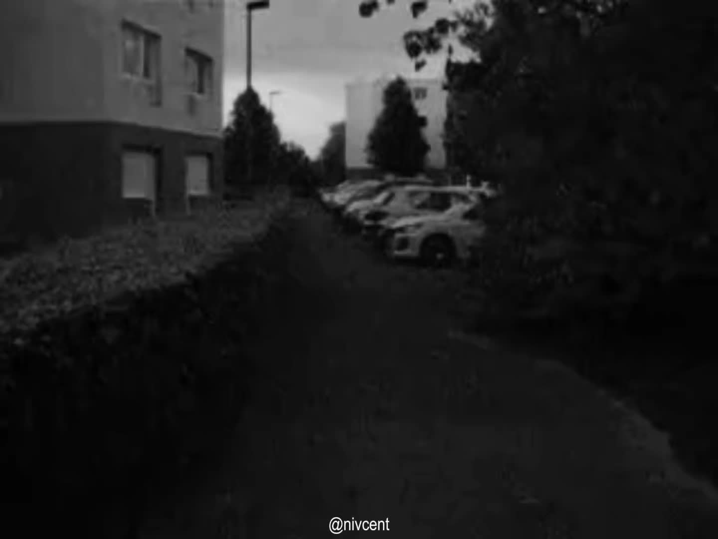 @𝗡𝗶𝘃𝗰𝗲𝗻𝘁
