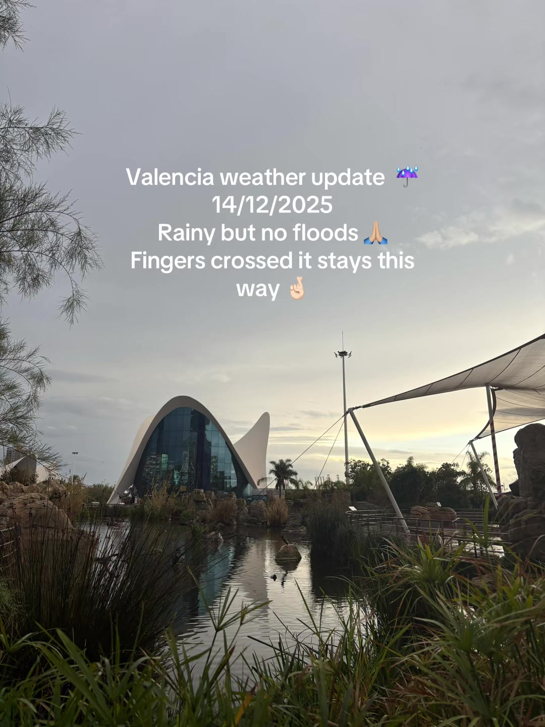 @livscitytravels ✈️