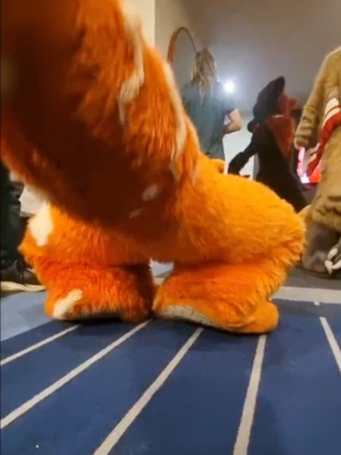 @radywolf