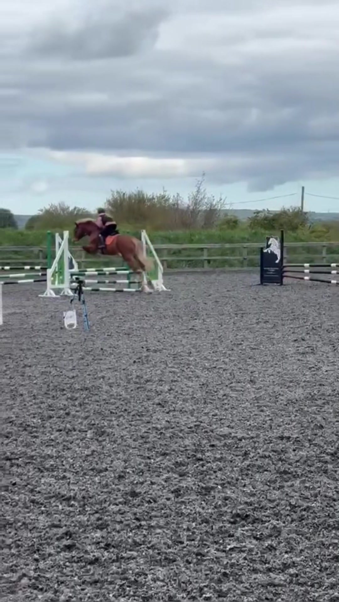 @Ellie 🐴🏎️