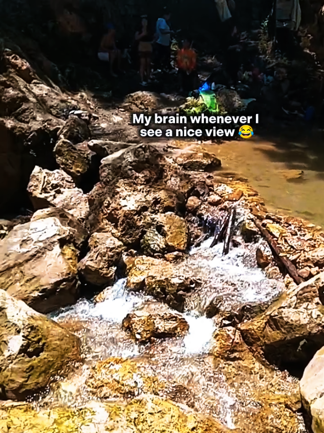 @dexx aquatics