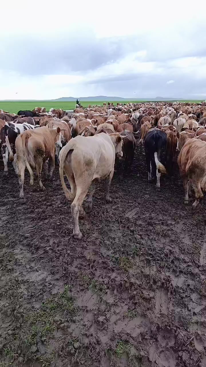 @FERHAT ÇUKU 76☀️