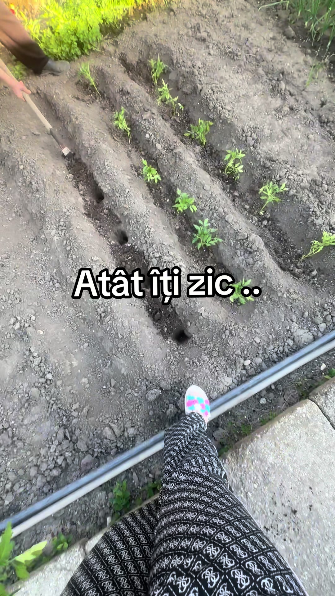 @Ioana Alina 🖤