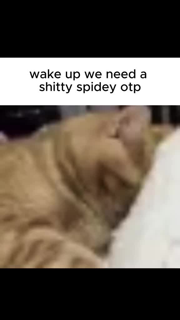 @Z